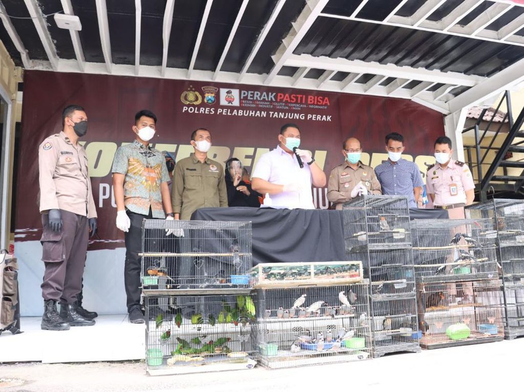 Penyelundupan Burung Langka via Laut dari Banjarmasin ke Surabaya Digagalkan