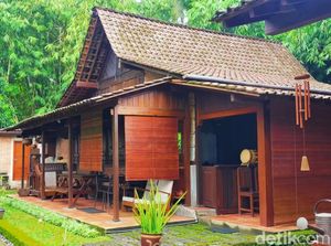 Mengenal Lebih Dekat Umah Using-Hunian Suku Asli Banyuwangi Mengenal Lebih Dekat Umah Using-Hunian Suku Asli Banyuwangi
