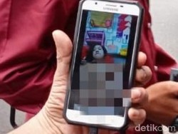 Viral Video Porno Perempuan Jember di TikTok