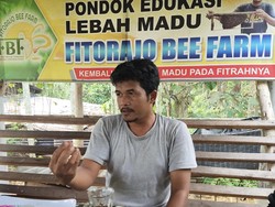 Selain Untung Besar, Beternak Lebah Dekat dengan Kemuliaan