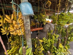 Ini Penyebab Pisang Berubah Warna Menjadi Coklat, Sudah Tahu?