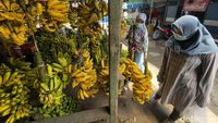 Bulan Puasa, Buah Pisang Laris Manis