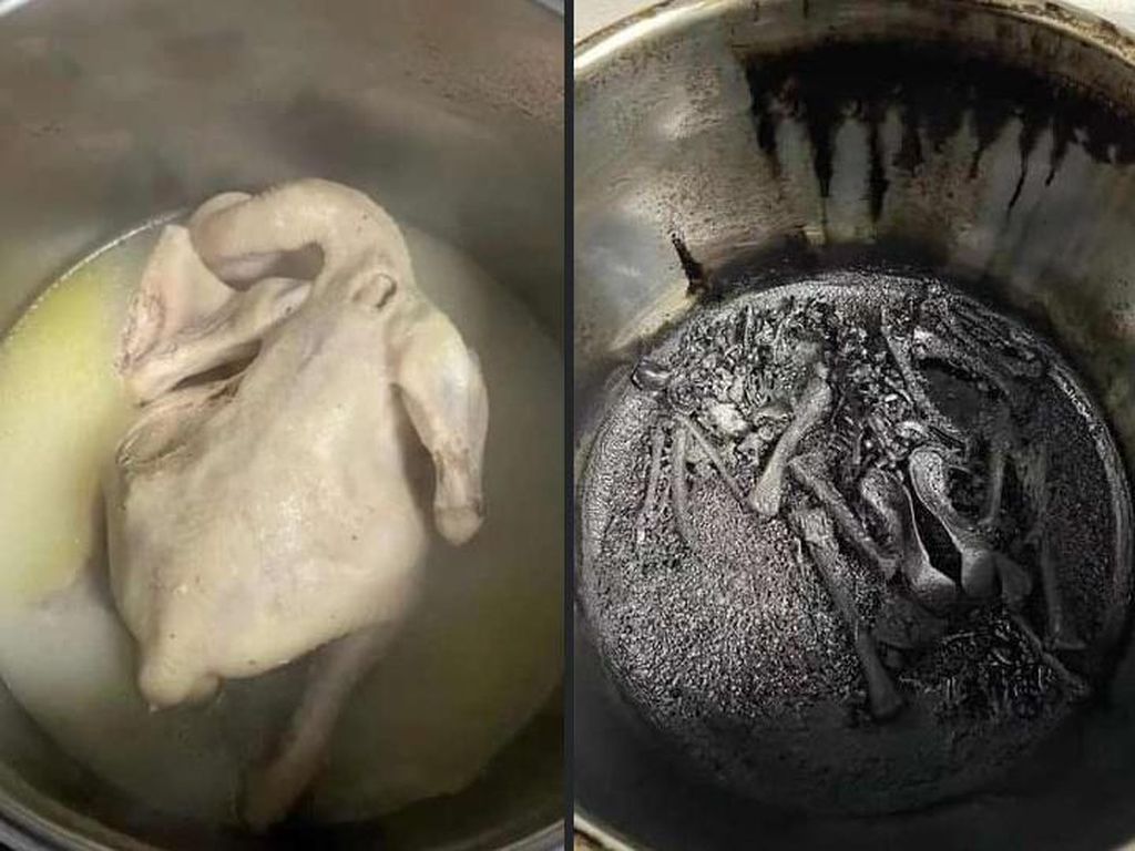 Ngakak! Menu Ayam Kremasi Tercipta karena Netizen Ini Lupa Matikan Kompor
