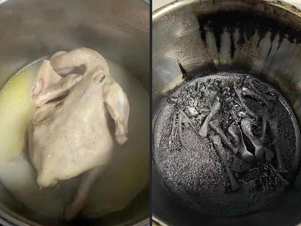 Ngakak! Menu Ayam Kremasi Tercipta karena Netizen Ini Lupa Matikan Kompor Ngakak! Menu Ayam Kremasi Tercipta karena Netizen Ini Lupa Matikan Kompor