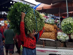 Harga Sayuran di Boyolali Naik, Lur! Buncis Jadi Rp 8 Ribu per Kg Harga Sayuran di Boyolali Naik, Lur! Buncis Jadi Rp 8 Ribu per Kg