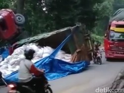 Tak Kuat Nanjak, Truk Pakan Ternak di Lamongan Nggeblak-Kepala Mendongak