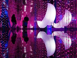 Cute Abis! Youseum, Museum Kekinian buat Tiktok-an dan Selfie