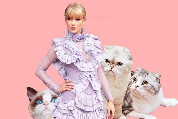 Bucin to the bone, Taylor Swift turut boyong kucing-kucingnya saat ia tur dunia/Foto: standard.co.uk