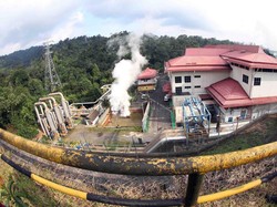 PLN Gaet WWF agar Transisi EBT Tak Ganggu Ekosistem Lingkungan