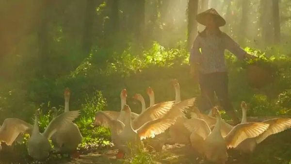 Desa Serba Palsu di China Cuma Untuk Konten Instagram