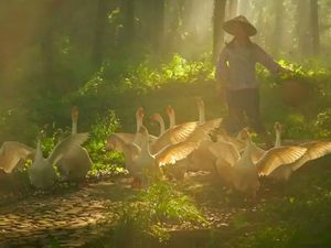 Desa Serba Palsu di China Cuma Untuk Konten Instagram