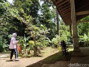 Gempa Gunungkidul Terasa Kuat di Pacitan, Warga: Terasa Greek Gempa Gunungkidul Terasa Kuat di Pacitan, Warga: Terasa Greek