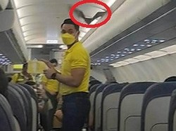 Pesawat Sudah Mau Take Off, Eh Malah Kedatangan Tamu Tak Diundang