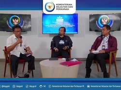 Perbarui Data, KKP Ungkap Potensi Ikan RI Capai 12,01 Juta Ton/Tahun