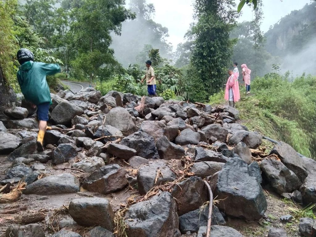 Tanaman Kapulaga Dituding Jadi Penyebab Longsor di Purbalingga, Kok Bisa? Tanaman Kapulaga Dituding Jadi Penyebab Longsor di Purbalingga, Kok Bisa?