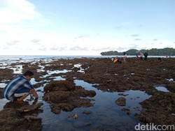 5 Objek Wisata Pangandaran Ini Diprediksi akan Diserbu saat Lebaran