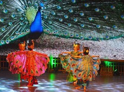 Sejarah Tari Merak dan Asal-usul Gerakannya