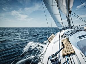 Beri Makan Hiu Dekat-dekat Balita, Pasutri Ini Panen Hujatan