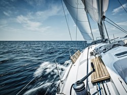 Beri Makan Hiu Dekat-dekat Balita, Pasutri Ini Panen Hujatan