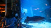 Foto: Jakarta Aquarium dengan Tema Jakarta Tempo Doeloe