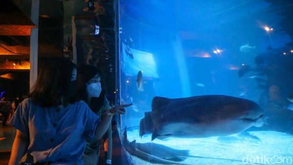Foto: Jakarta Aquarium dengan Tema Jakarta Tempo Doeloe