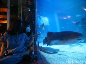 Foto: Jakarta Aquarium dengan Tema Jakarta Tempo Doeloe Foto: Jakarta Aquarium dengan Tema Jakarta Tempo Doeloe