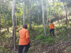 Dicari! Pria 51 Tahun Hilang Setelah Masuk Hutan di Konawe Dicari! Pria 51 Tahun Hilang Setelah Masuk Hutan di Konawe