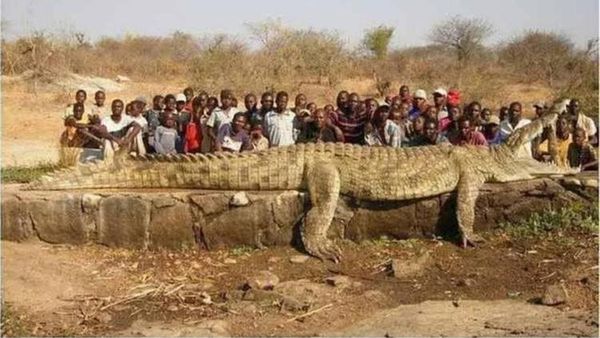 Coba Perhatikan Lagi Foto Ini, Jangan Sampai Terkecoh