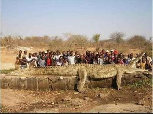 Coba Perhatikan Lagi Foto Ini, Jangan Sampai Terkecoh