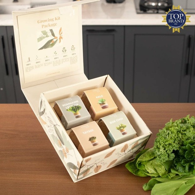 Ide unik lainnya yaitu bibit tanaman untuk hampers lebaran.