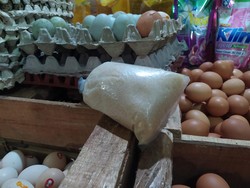 Harga Gula Tingkat Petani Rp 11.500/Kg, di Konsumen Rp 13.500/Kg