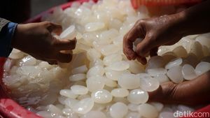 Kaya Manfaat, Kolang-kaling Jadi Primadona Saat Ramadan