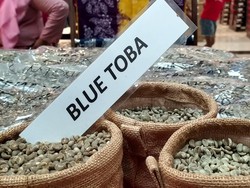 Pengolahan Kopi Semi Wash, Tradisi Sumut yang Mendunia