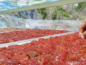 Manis Segar Tomat di Bojonegoro Diproses jadi Kurma Jawa, Cocok untuk Takjil