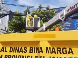 Pasukan Kuning DKI Potong Kabel Semrawut di Atas Manhole SJUT Mampang!