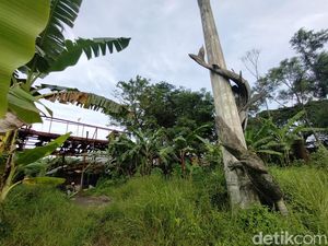 Viral Patung Sura-Baya Terlantar, Tak Diakui Pemerintah Viral Patung Sura-Baya Terlantar, Tak Diakui Pemerintah