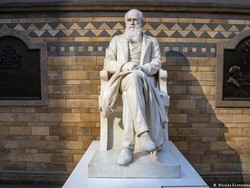 Setelah Hilang 21 Tahun, Buku Evolusi Darwin Dikembalikan