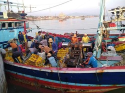 Potret Peluang Ekonomi Nelayan Melalui Digitalisasi Bersama Shopee