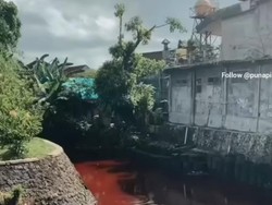 Air Sungai Denpasar Berwarna Merah Ternyata Akibat Limbah Sablon