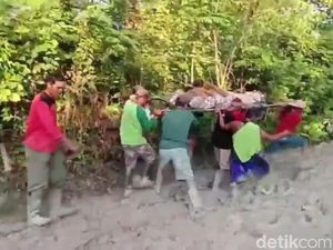 Video Warga Pikul Jenazah Lewat Jalan Berlumpur Sejauh 8 Km di Jombang Video Warga Pikul Jenazah Lewat Jalan Berlumpur Sejauh 8 Km di Jombang