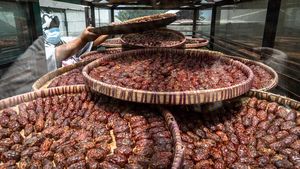 Jangan Terkecoh, Ini Tomat dengan Rasa Kurma dari Semarang