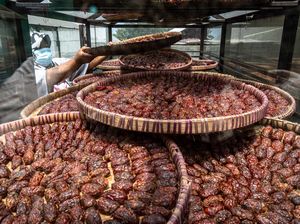 Jangan Terkecoh, Ini Tomat dengan Rasa Kurma dari Semarang Jangan Terkecoh, Ini Tomat dengan Rasa Kurma dari Semarang