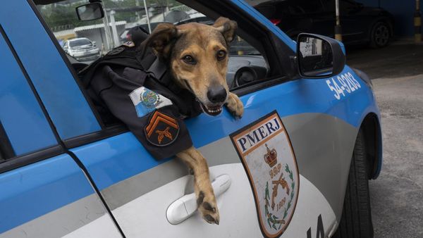Kenalan dengan Cabo Olveira, Polisi Khusus di Brasil