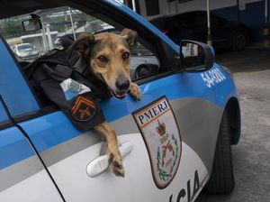 Kenalan dengan Cabo Olveira, Polisi Khusus di Brasil Kenalan dengan Cabo Olveira, Polisi Khusus di Brasil