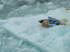 Duh, Sampah Plastik Sudah Sampai Kutub Utara!