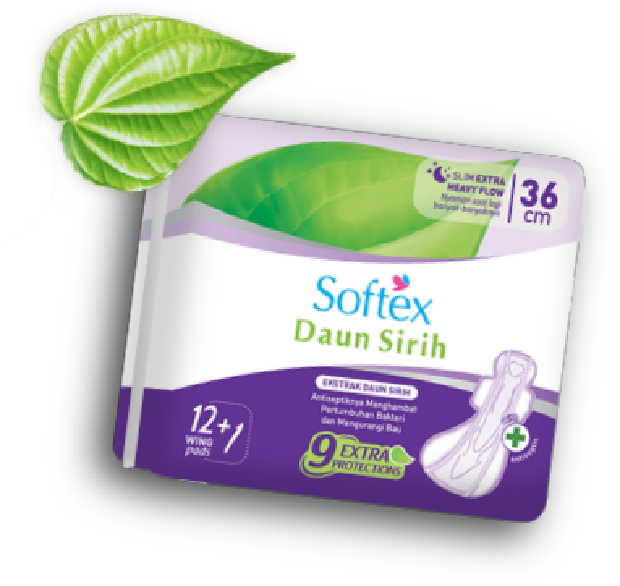 Softex/Foto: Softex Indonesia Softex