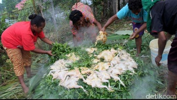 Tradisi Bakar Batu Sudah Turun-temurun/Foto : news.detik.com/Wilpret