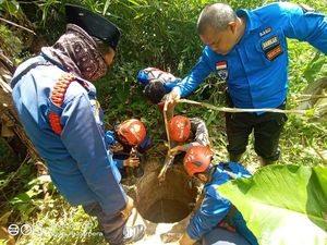 Mau Perbaiki Mesin Air, Warga di Bogor Kaget Lihat Kobra
