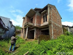Cerita Warga Usir Ribuan Kelelawar dalam Rumah Kosong Magelang