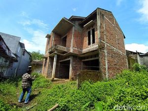 Cerita Warga Usir Ribuan Kelelawar dalam Rumah Kosong Magelang Cerita Warga Usir Ribuan Kelelawar dalam Rumah Kosong Magelang